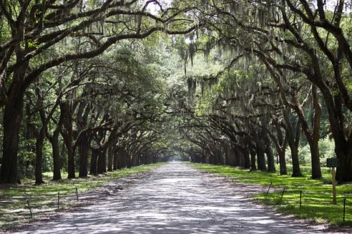 Ciudades poco conocidas de Estados Unidos. Savannah, Georgia