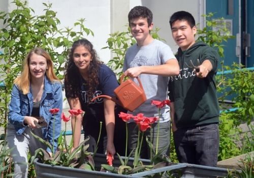 Defensa y cuidado por el medio ambiente. Activismo social en los colegios de Estados Unidos.